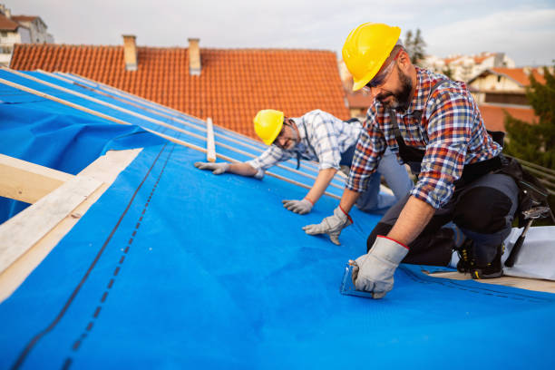 Best Chimney Flashing Repair  in Shorewood Hills, WI