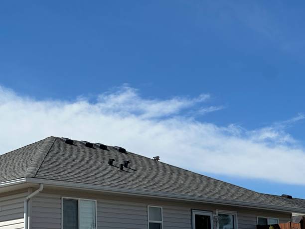 Best Roof Maintenance and Cleaning  in Shorewood Hills, WI